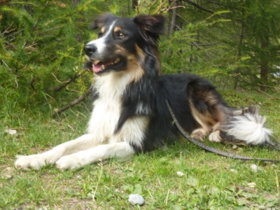 B.B. King The Spirit