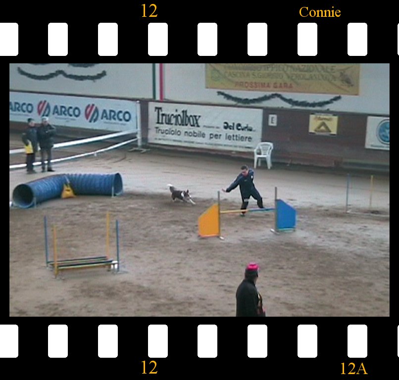 Verolanuova 08.03.2008 Connie Agility 1